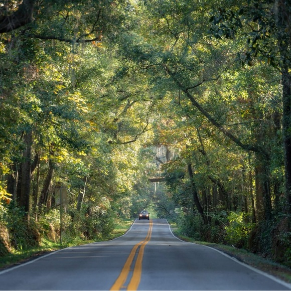 Meet Your Seller! - Picture 3 of 6